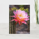 Search for desert flora cards Cacti