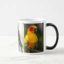 Search for sun conure mugs Tropical