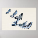 Search for japanese butterfly art Beautiful