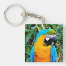 Search for macaw parrot key rings Blue and yellow macaw