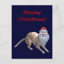Search for crazy cat christmas cards Funny