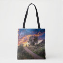 Search for sonoran accessories Cactus