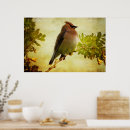 Search for cedar posters Nature