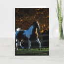 Search for backlit cards Horse