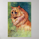 Search for long hair cats posters Animals