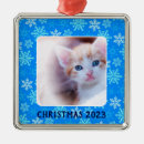 Search for cat photo christmas tree decorations Family pet