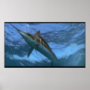 Search for sea urchin posters Underwater