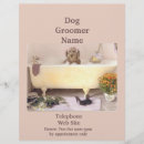 Search for boards flyers Pet sitter