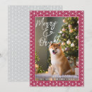 Search for dog mom christmas cards Dogs