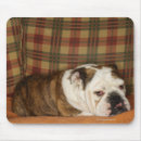 Search for dramatize mousepads Dramatic