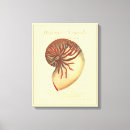 Search for border canvas prints Sea