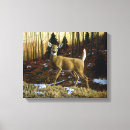 Search for does canvas prints Wildlife