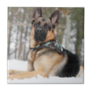Search for german shepherd tiles Puppy