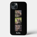 Search for pet cases Unique cool template