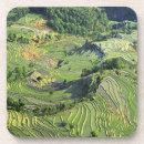 Search for arable Grain
