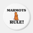 Search for marmot magnets Rodent