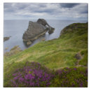 Search for atlantic tiles Coast