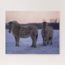 Search for horses and snow puzzles Bob langrish