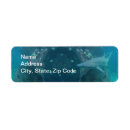 Search for shark return address labels Animal