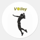 Search for play volleyball stickers Sport