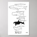 Search for wail Funny
