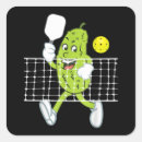 Search for pickleball paddle stickers Funny