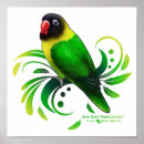 Search for lovebird posters Birds