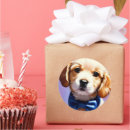 Search for pet portrait stickers Cute