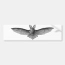 Search for bats bumper stickers Black