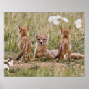 Search for den decor posters Female