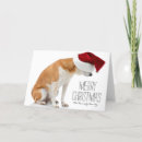 Search for shiba inu christmas cards No people