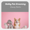 Search for notebook stickers Animal