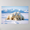 Search for polar bear posters Winter