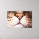 Search for nose canvas prints Horizontal