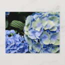 Search for mobile alabama postcards Bellingrath