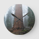 Search for general sherman Nature
