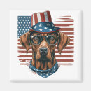 Search for rhodesian magnets Ridgeback