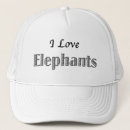 Search for elephants hats Conservation