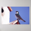 Search for michell posters Bird
