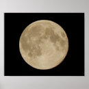 Search for harvest moon posters Night