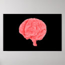 Search for neuroanatomy posters illustration