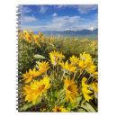 Search for chuck notebooks Flowers