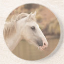 Search for equine coasters Nature