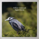 Search for birdwatchers posters Birding