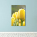 Search for standing canvas prints Nature
