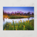Search for teton range postcards Snake river