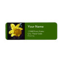 Search for yellow daffodils return address labels Summer