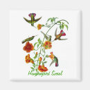 Search for hummingbirds magnets Nature