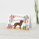 Search for chocolate labrador retriever cards Cute