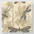 Search for dragonfly coasters Animals